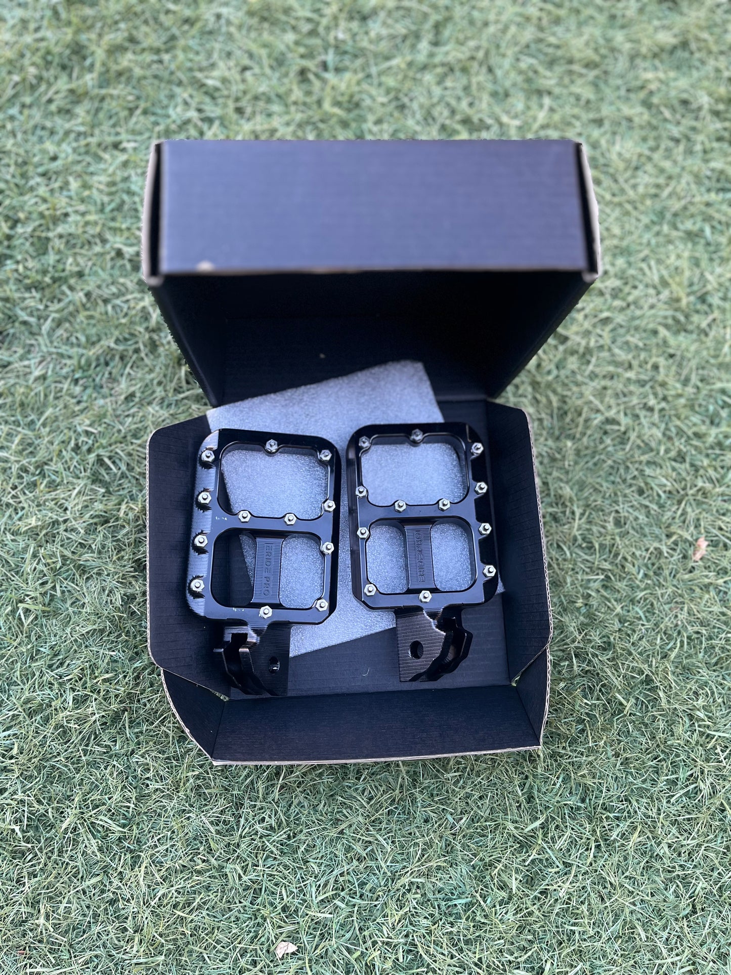 E-Ride Pro and Surron Prickly Pegs